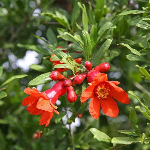 KMG_1055
