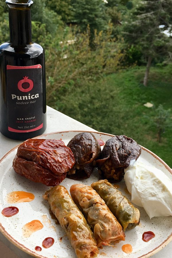 ANASAYFA 18 punica_7
