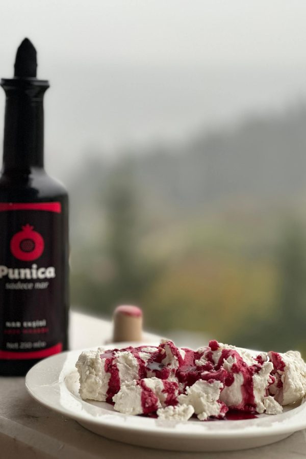 ANASAYFA 45 punicadan ilhamlar (17)